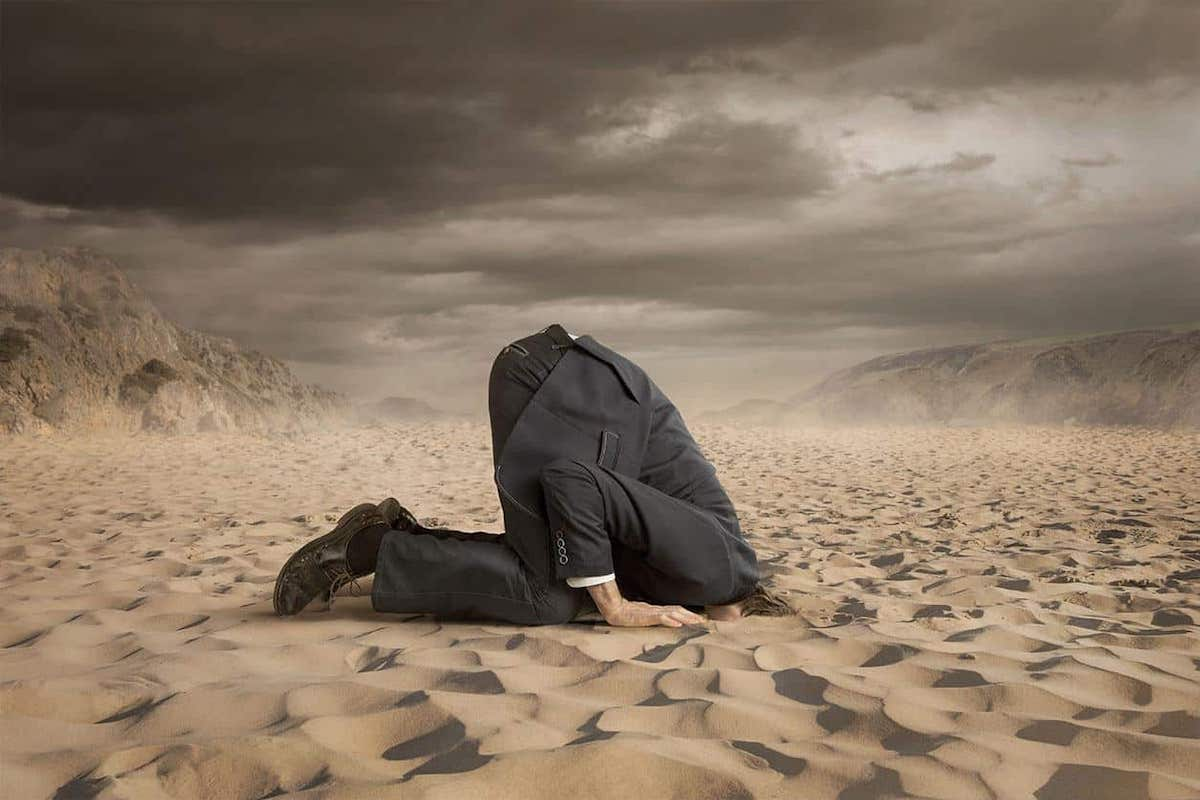 Adapt or Die: Winning strategies for transforming sales & marketing in the digital age