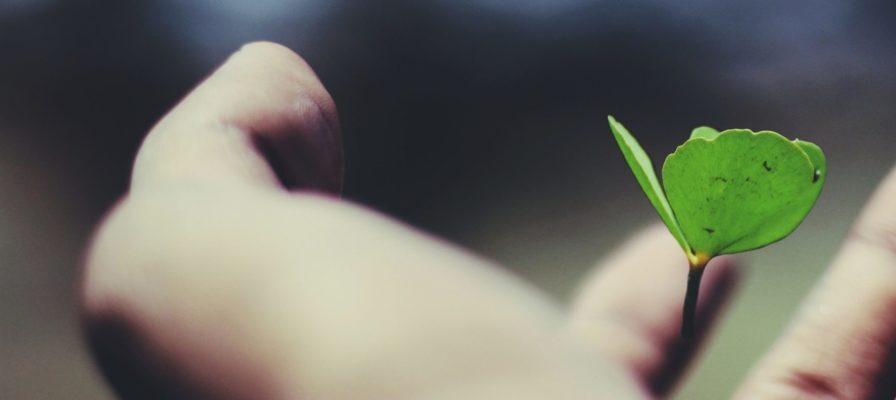 Why do ABM and Demand Gen continue to be growth areas for B2B marketing?