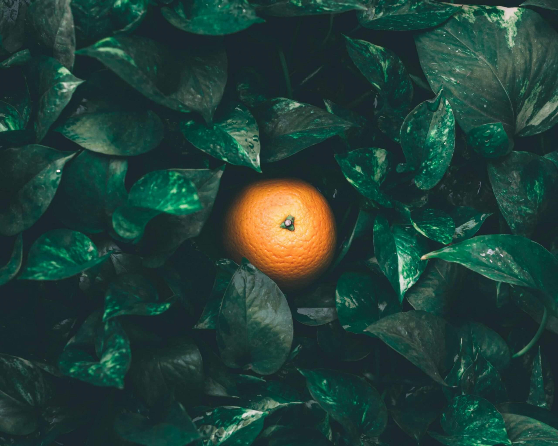 Account Selection: take your finger out of the air, and take an insight led approach