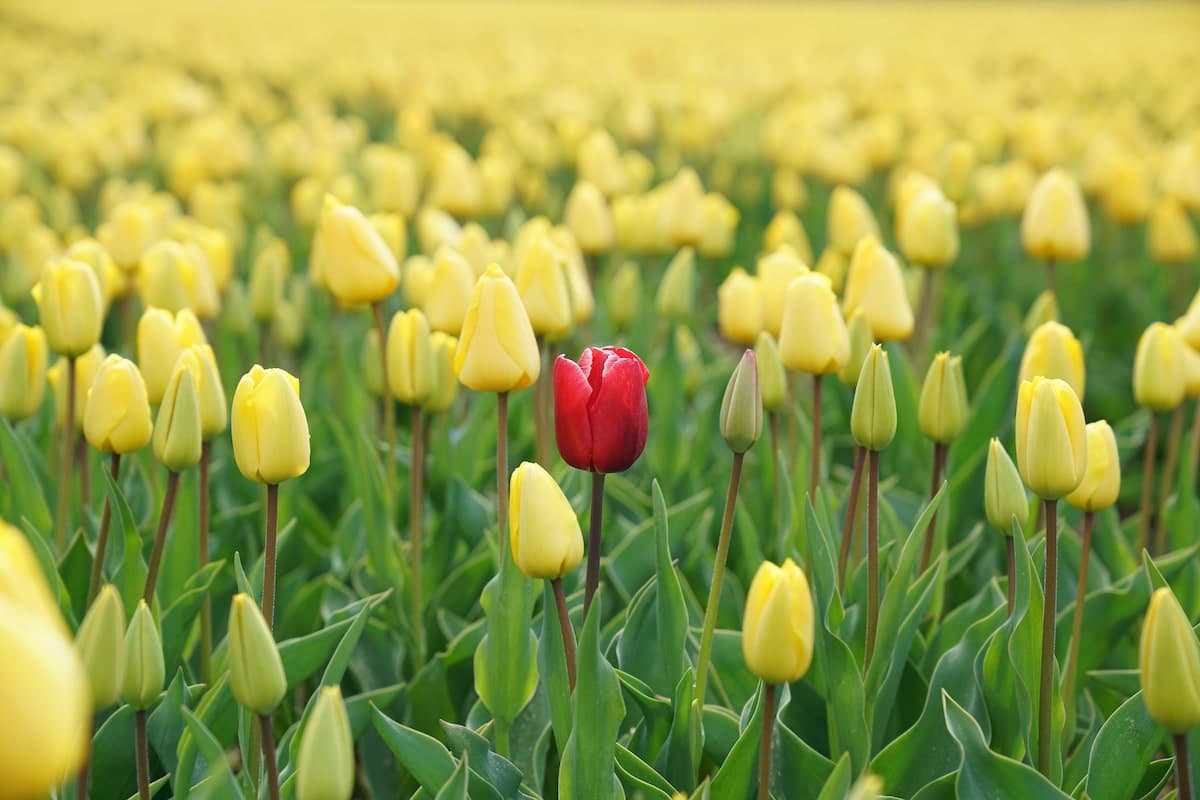 How to target the right audience: part 2: getting to the right individual